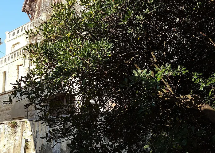 Alfred Port-vieux Hotell