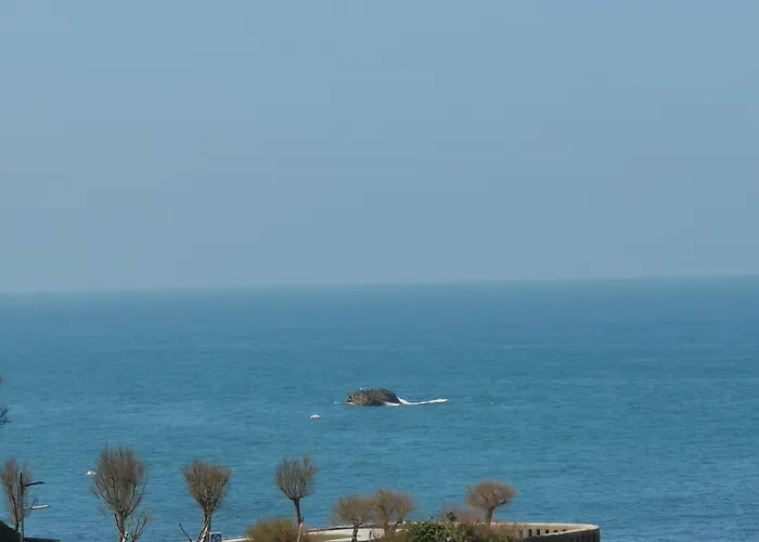 Alfred Port-vieux Szálloda 3*