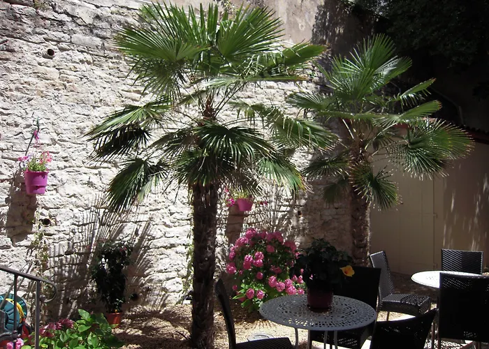 Hotel Alfred Port-vieux 3*