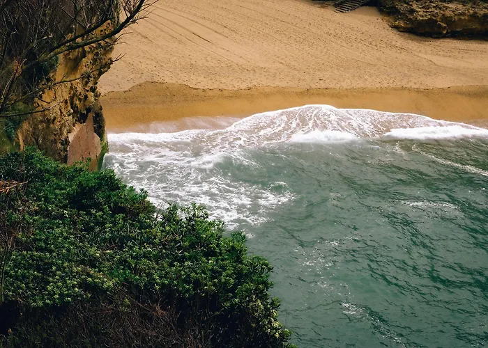 Hotel Alfred Port-vieux
